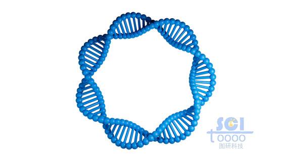 質粒DNA