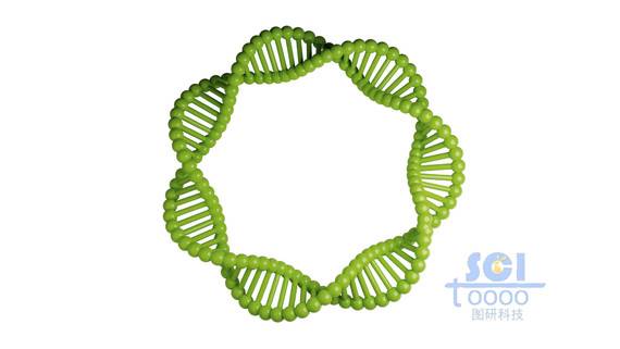 質粒DNA