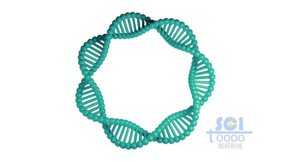 質粒DNA