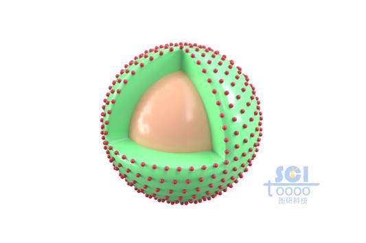 表面负载颗粒的纳米球