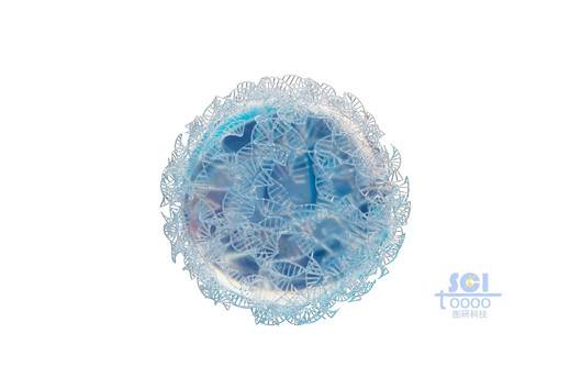 DNA鏈纏繞的納米球