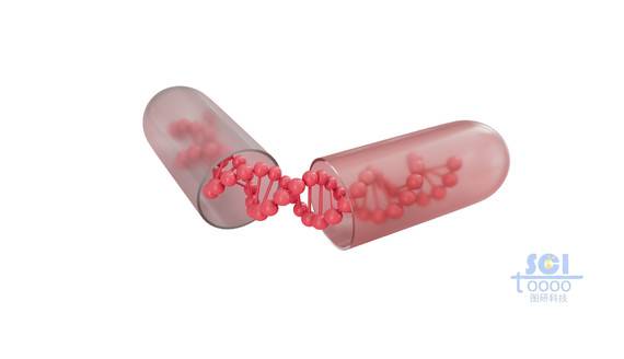 膠囊里的DNA鏈