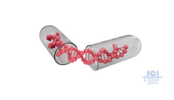 膠囊里的DNA鏈