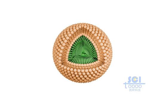 帶有磷脂雙分子層的納米藥物