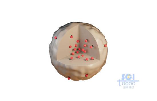 负载颗粒的八分之一切口的纳米球