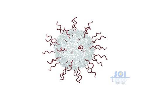 高分子鏈段交織成網狀空心納米球