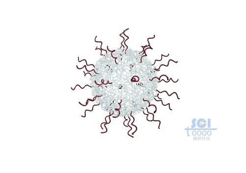 高分子链段交织成网状空心纳米球