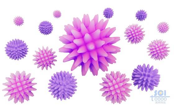 細菌結構