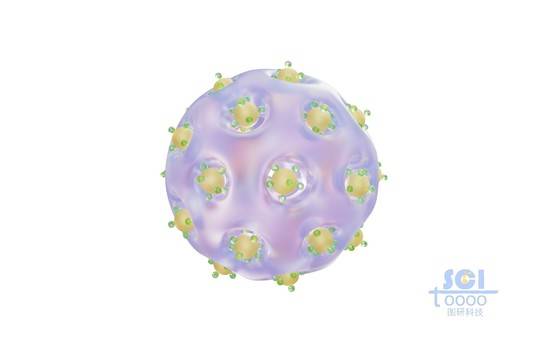 纳米颗粒分布的多孔球