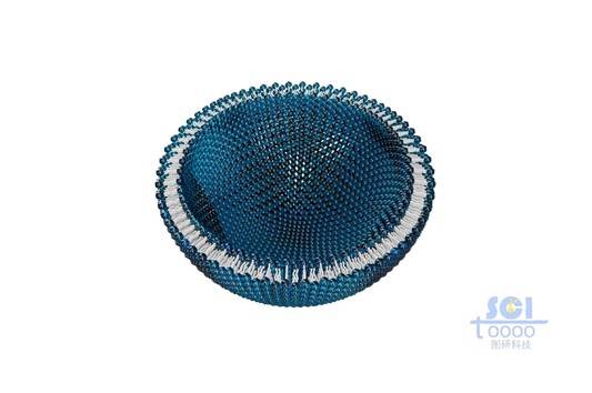 二分之一切面的磷脂雙分子層
