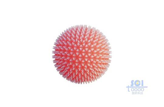 病毒結構