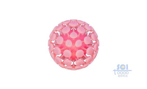 新型冠狀病毒