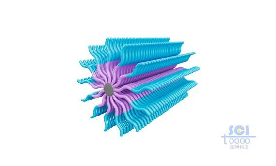兩種不同高分子鏈段構成的納米棒