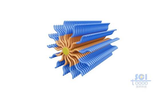 兩種不同高分子鏈段構成的納米棒