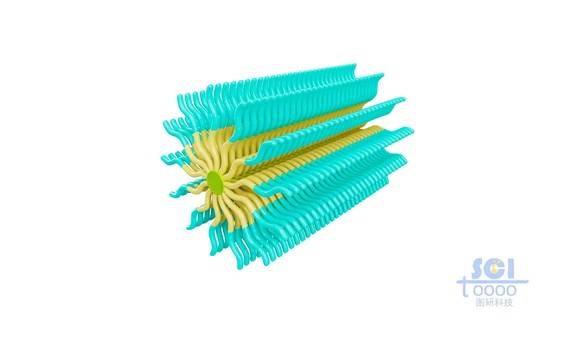 兩種不同高分子鏈段構成的納米棒