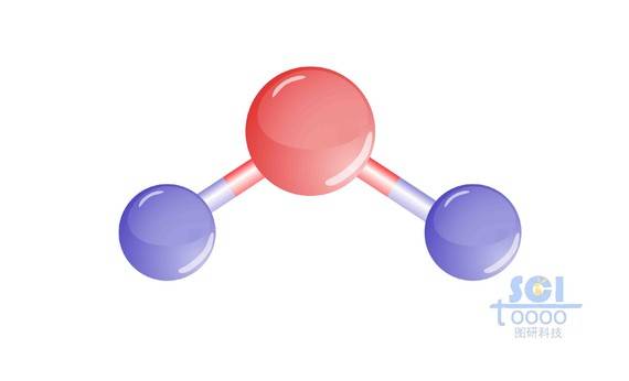 分子結構