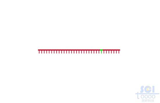 DNA（点突变）
