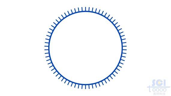 环状DNA