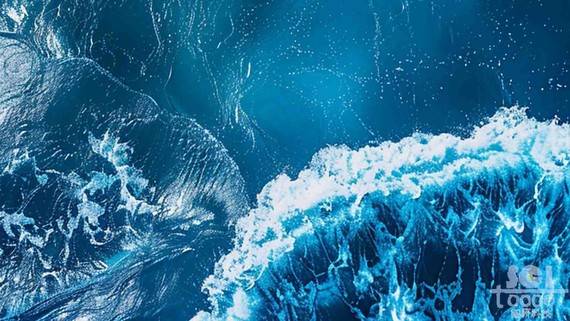 海洋素材