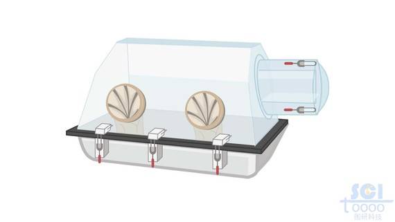 实验室手套箱