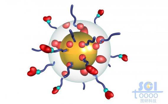 透明膜包裹的金纳米球和染料分子外表层带高分子链段修饰
