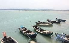海水素材