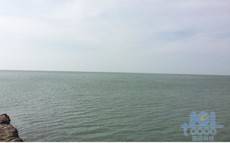 海水素材
