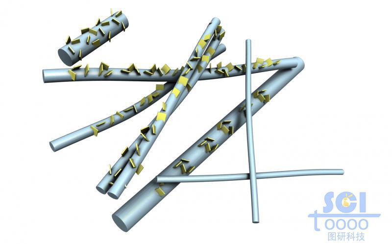 带硫杂质的碳纳米管/线结构