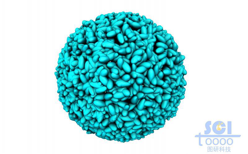 花瓣状团簇形成的纳米颗粒/微球