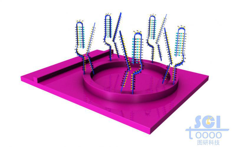 带DNA结构的微型芯片