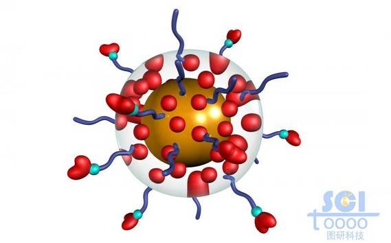 透明膜包裹的金纳米球和染料分子外表层带高分子链段修饰