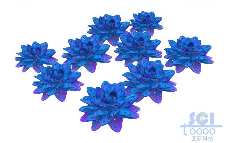 晶体团簇形成的双层结构的纳米花