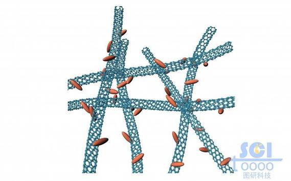 表面附着纺锤状结构的纵横交错的碳纳米管