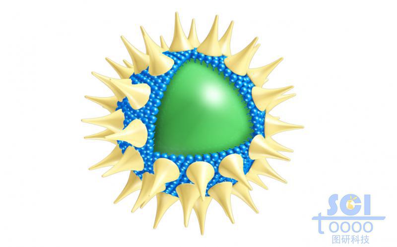 表面有锥形高分子结构粘附的实心球