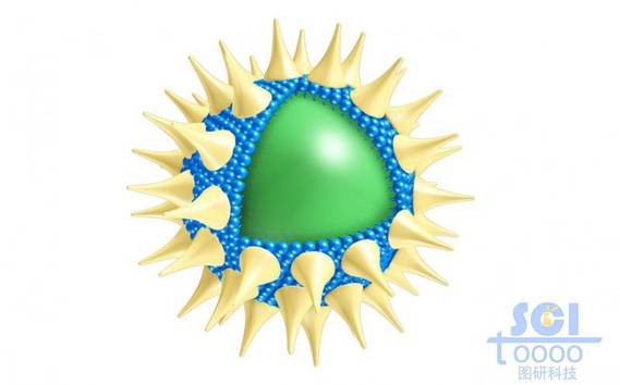 表面有锥形高分子结构粘附的实心球
