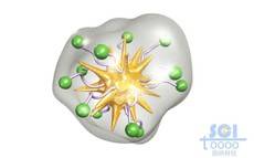 表面带修饰基团且被透明膜包裹的金纳米星
