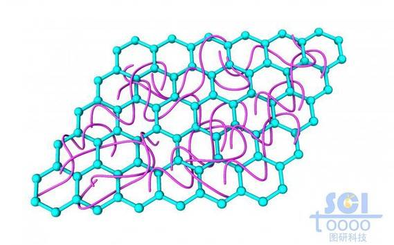标准四边zigzag边的石墨烯片上缠绕高分子链段