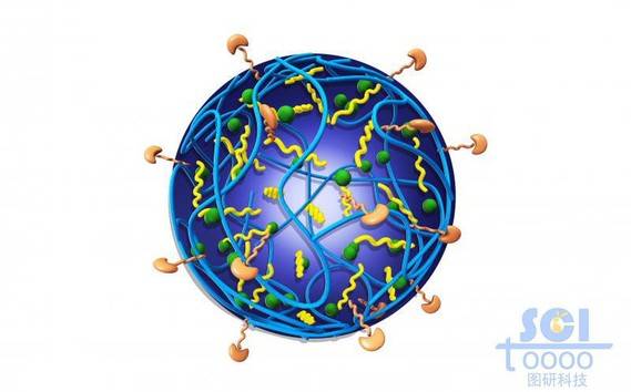 柔软带小分子基团的高分子链段团聚成的空心纳米球