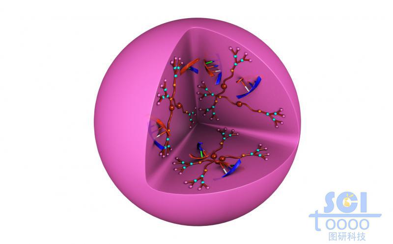 树形高分子链段团聚形成实心纳米球