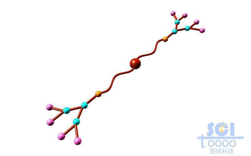 树形高分子链段模式图