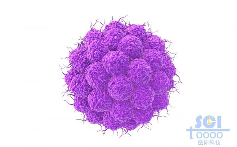 癌细胞团簇