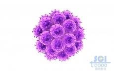 癌細胞團簇