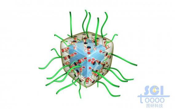 外包裹透明介孔材料的立方体形状外层有高分子链段的纳米药物