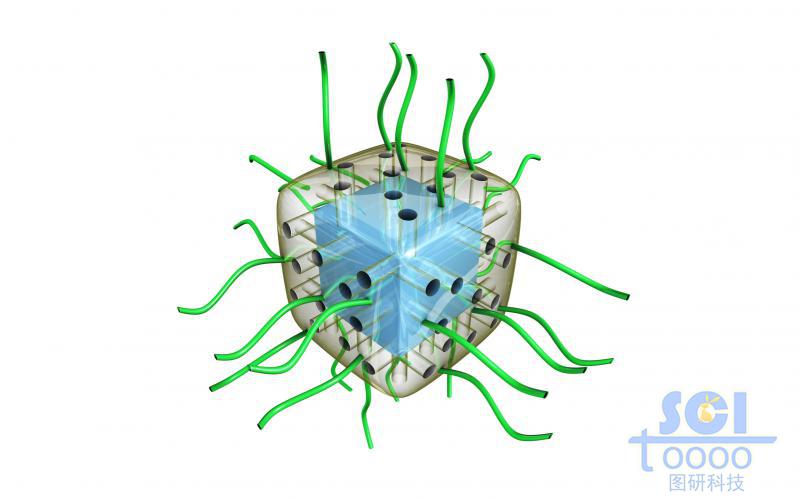 外包裹透明介孔材料的立方体形状外层有高分子链段的纳米药物