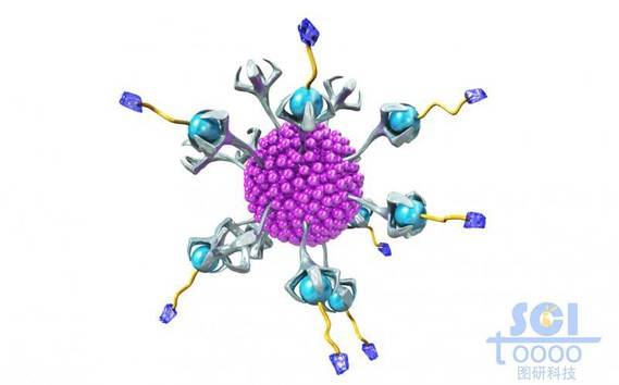 表面嵌合高分子链端/纳米药物的纳米球