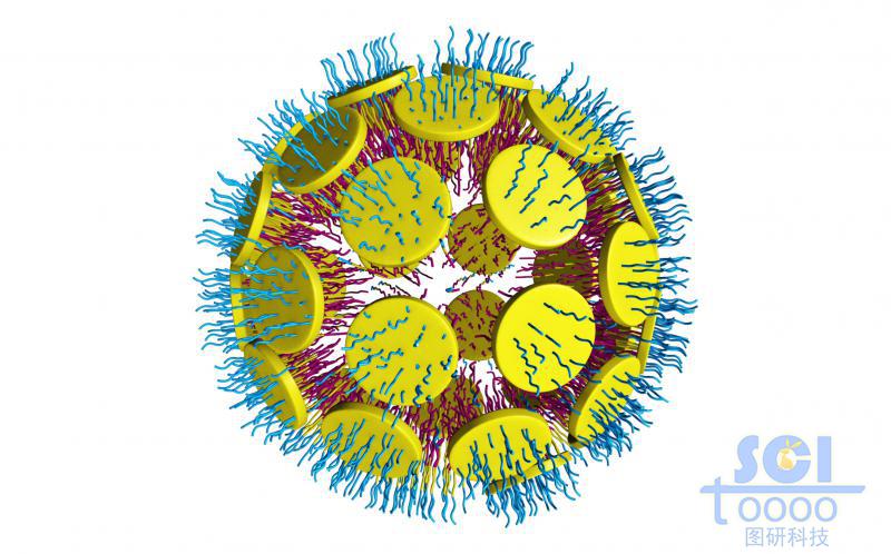 介孔纳米片上生长正反面高分子链段/亲疏水链段聚团形成纳米球/微球