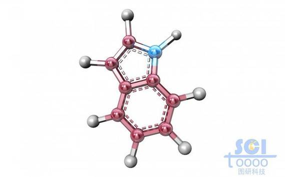 分子模式圖