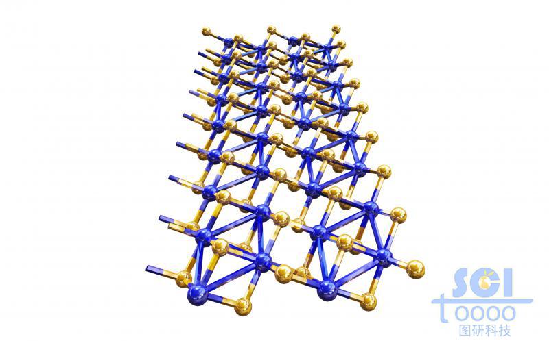 二硫化铼网状结构