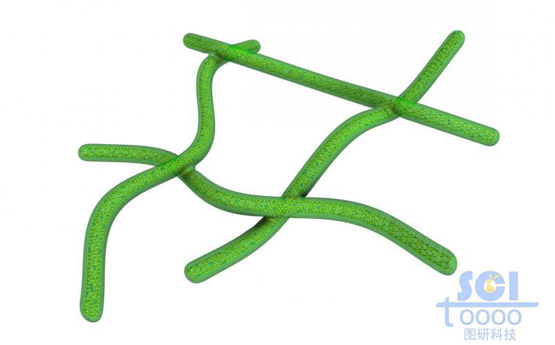 外层包裹硫化合物的弯曲碳纳米管/弯曲的高分子链段