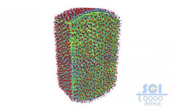 内嵌小分子药物的高分子聚合体外层分部小分子基团基团